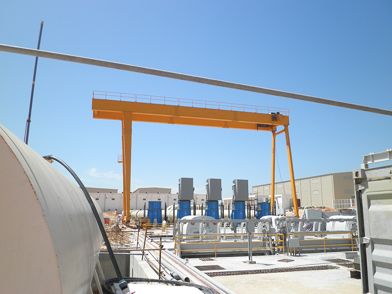 歐標(biāo)門(mén)式起重機(jī)